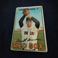 1967 Topps #117 Darrell Brandon Boston Red Sox Vintage Baseball Card