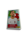 Ehsan Hajsafi IRN4 | Panini FIFA World Cup 2026 Official Sticker | Iran National Team